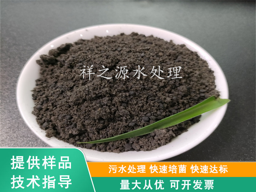 ​厭氧菌種